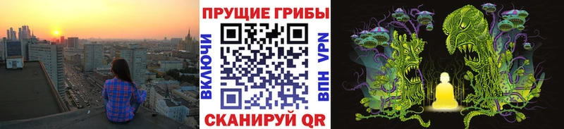 Псилоцибиновые грибы мицелий где купить Гремячинск